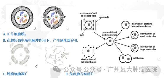 fuda02_591888.png image.png