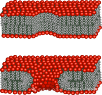 fuda02_634325.png image.png