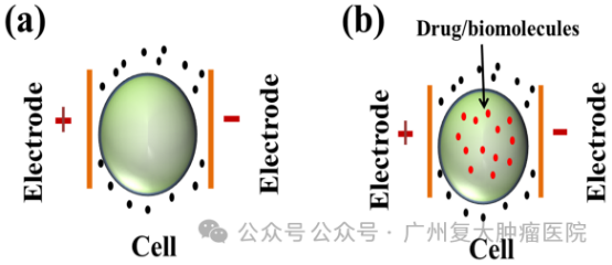 fuda02_797262.png image.png