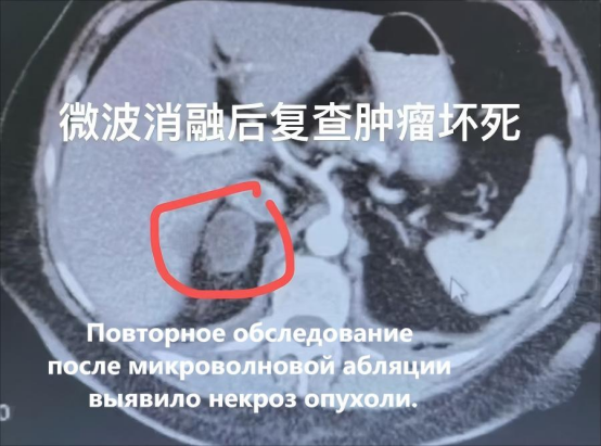 fuda20_512398.png image.png