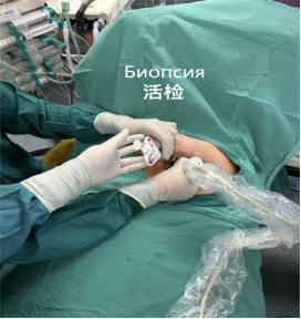 fuda26_951430.png image.png