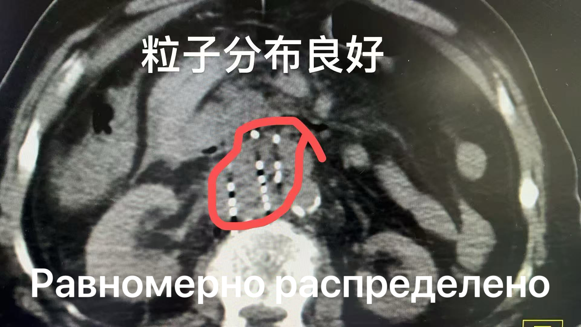 fuda08_935900.jpg 7f6e2d0728a4cc00f20d6173976014c.jpg