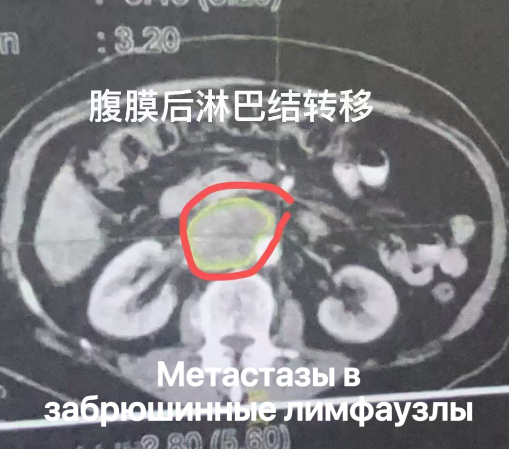 fuda08_991204.jpg 33137f2eb967d35639394ddc5a7eccb.jpg